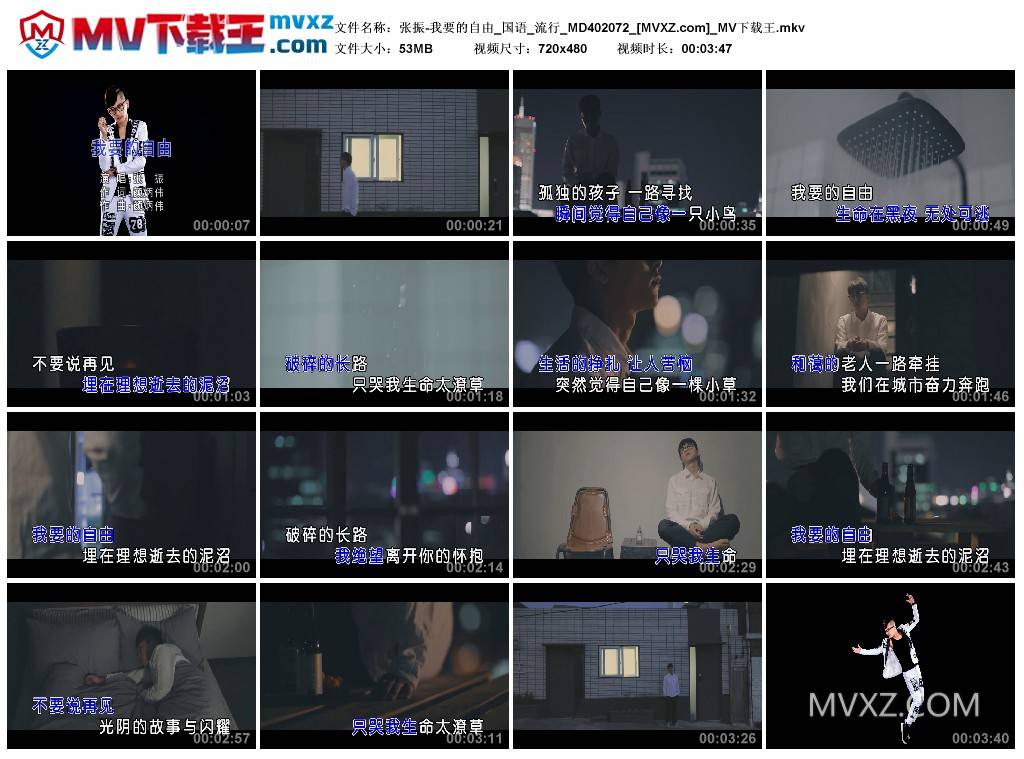 张振-我要的自由_国语_流行_MD402072